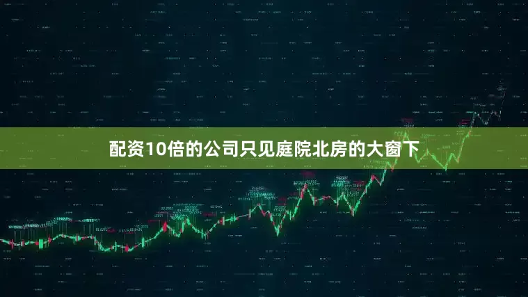 配资10倍的公司只见庭院北房的大窗下